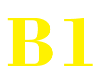 Level-A2 Image of B1 level of French language proficiency