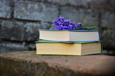 Photo of two books and purple flowers on a rock wall