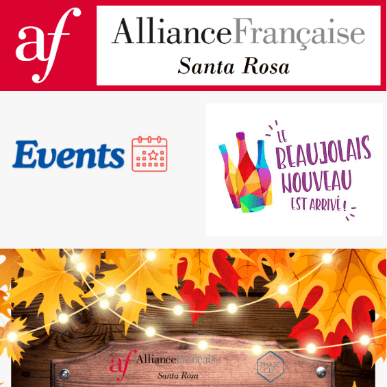 AFSR Newsletter preview Screenshot of an AFSR Newsletter email header